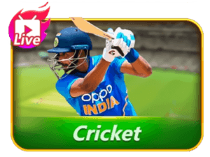 an image of a man using cricket live for teen patti stars