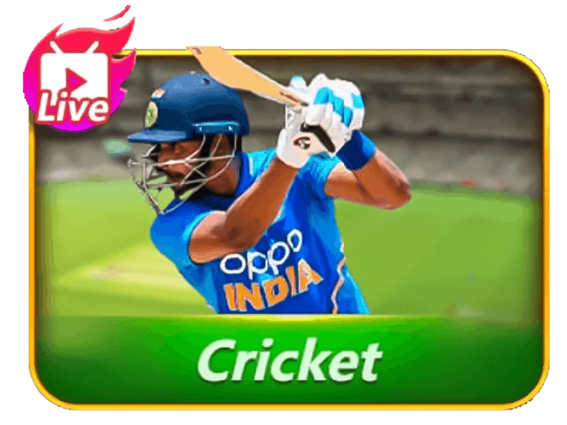 an image of a man using cricket live for teen patti stars