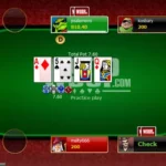 Online Poker